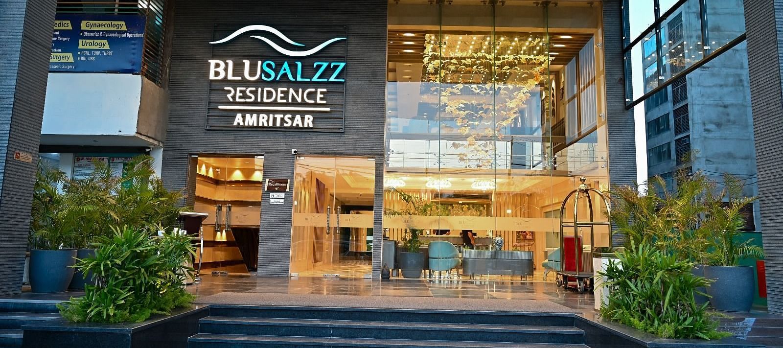 Hotel entrance with neatly arranged plants on both sides at BluSalzz Residence, Amritsar.